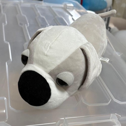 The dog play - play, with