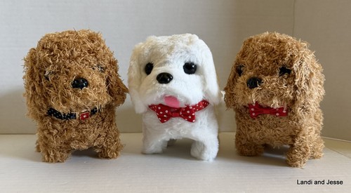 Pack walking puppy - puppy,