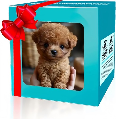 Walking puppy interactive - puppy,